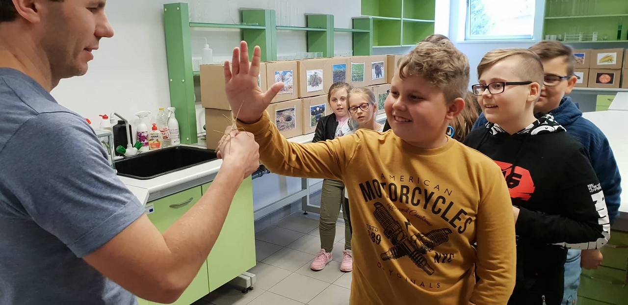 Karmin w laboratorium - Zdjęcie główne