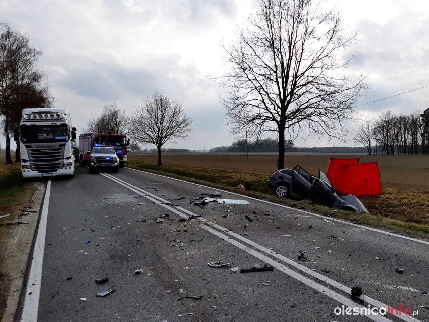 24-latek zginął w tragicznym wypadku. Pasażerka walczy o życie - Zdjęcie główne