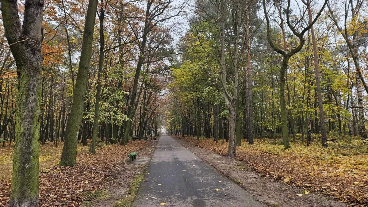 Jaka pogoda będzie w powiecie pleszewskim? Co prognozują synoptycy? - Zdjęcie główne