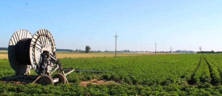 Spotkania dla rolników. Pierwsze już  poniedziałek w Marszewie!  - Zdjęcie główne