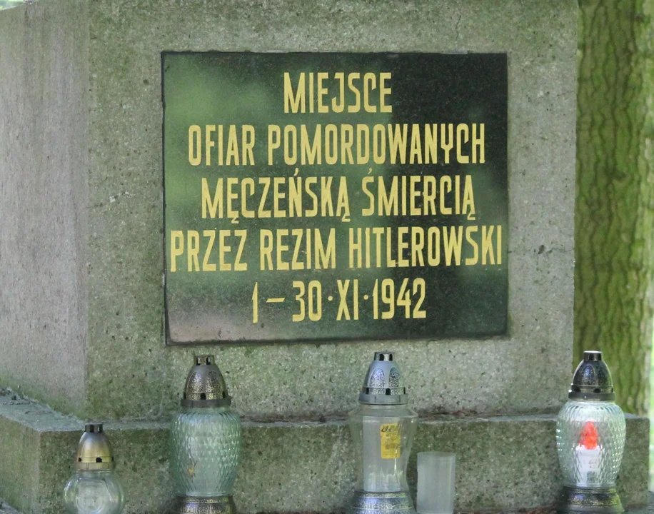 Międzynarodowy Dzień Pamięci o Ofiarach Holokaustu. Niemcy dokonywali zbrodni także na terenie powiatu pleszewskiego - Zdjęcie główne