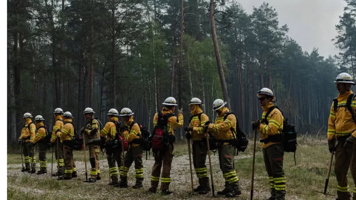 Wielki pożar na Lubelszczyźnie. Wielkopolscy strażacy ruszyli z pomocą