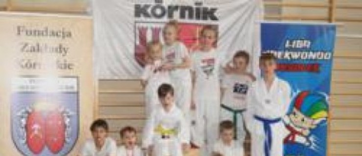 XIV edycja Ligi Taekwondo Wesołek - Zdjęcie główne