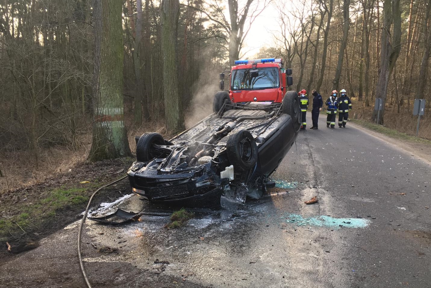 Pleszew. Na drogę wybiegło zwierzę. Auto dachowało - Zdjęcie główne