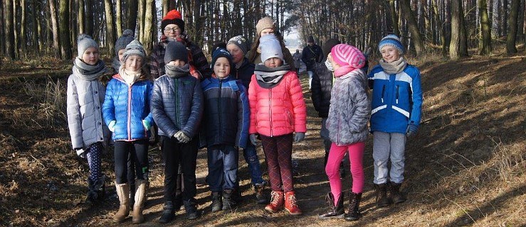 Spacerowali po lesie i liczyli ptaki - Zdjęcie główne