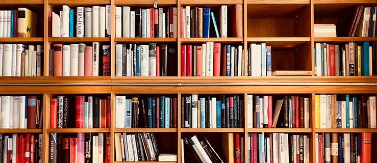 Do biblioteki dwa razy w tygodniu - Zdjęcie główne