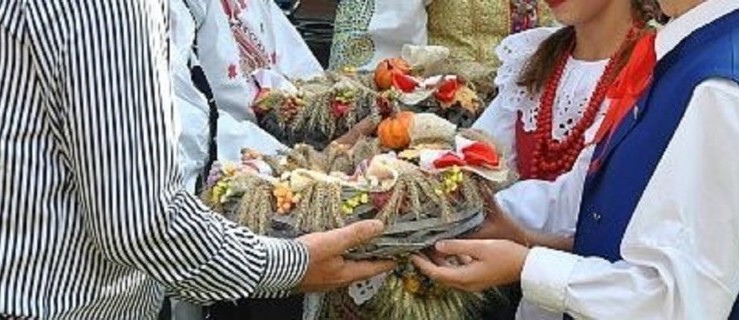 Powiat pleszewski. Jak będą wyglądać powiatowe dożynki? - Zdjęcie główne