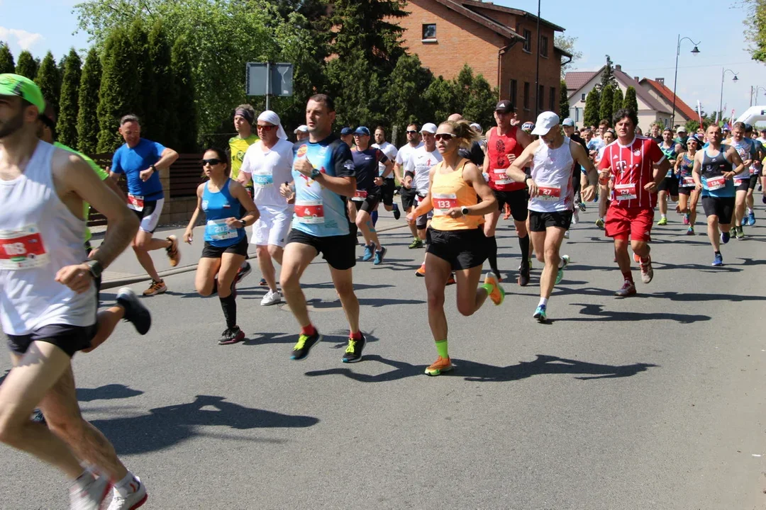 Zbliża się I Bieg Króla Augusta w Kościelnej Wsi - Zdjęcie główne