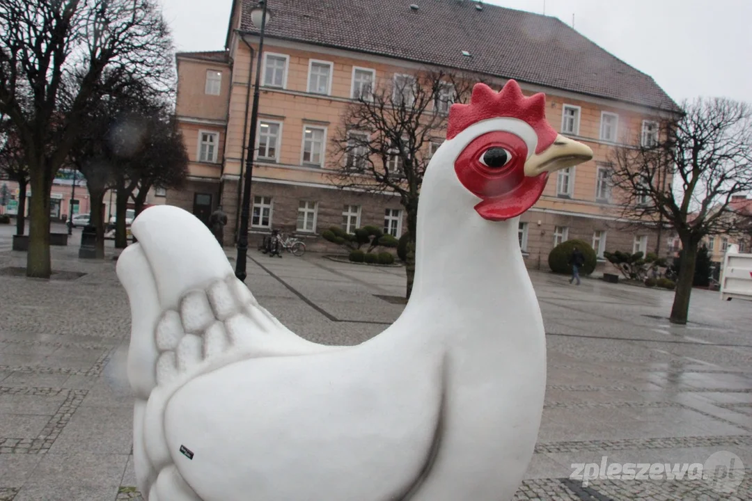 Na rynku w Pleszewie stanęły świąteczne dekoracje [ZDJĘCIA] - Zdjęcie główne