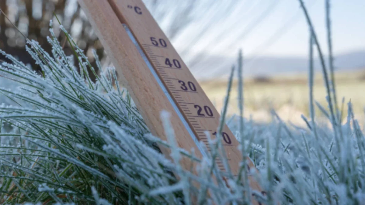 IMGW wydało ostrzeżenie. Temperatura przy gruncie spadnie do -8°C