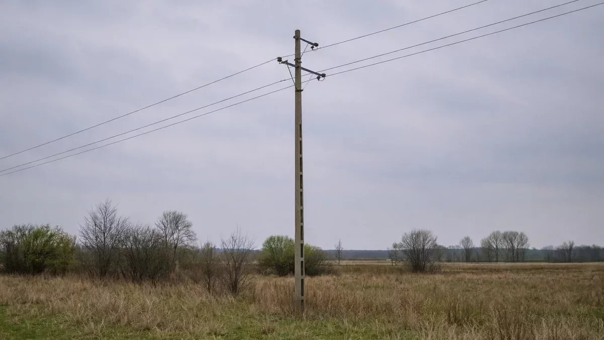 Mieszkańcy kilku gmin w powiecie pleszewskim w piątek bez prądu. Sprawdź, czy jesteś na liście
