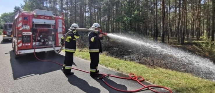 Powiat pleszewski. Pożar lasu przy drodze powiatowej - Zdjęcie główne