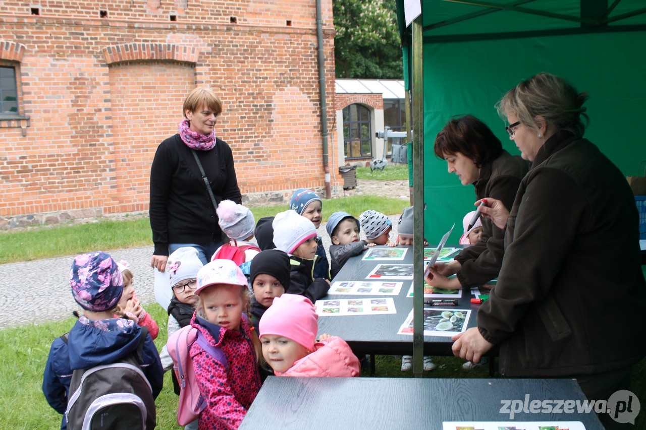 Są bezpieczni, dbają o przyrodę  - Zdjęcie główne