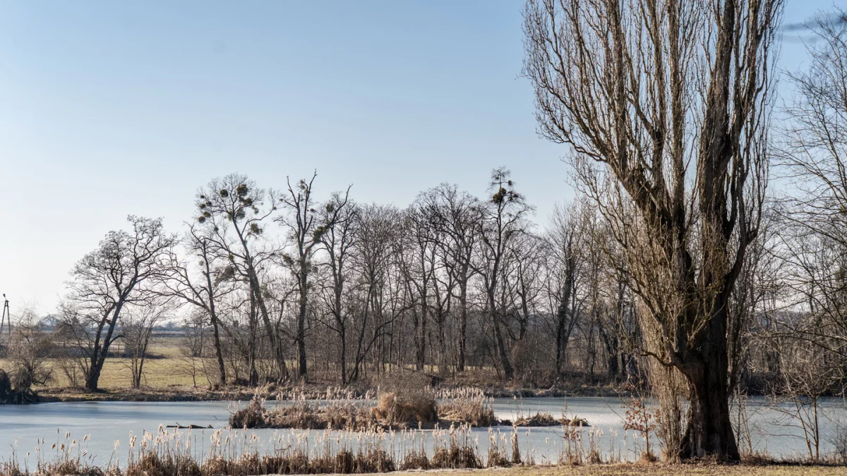 Dzień dobry Pleszew! Dziś piątek, 20 marca 2026 roku