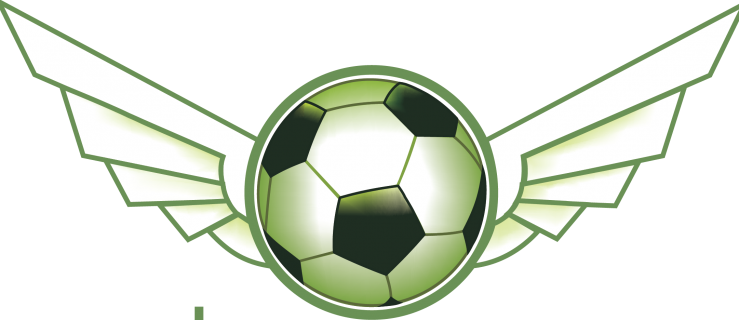 Amatorska Liga Piłki Nożnej Playarena Pleszew - Zdjęcie główne