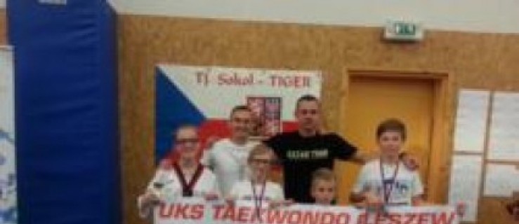 Medale taekwondo w Hradec Kralove - Zdjęcie główne