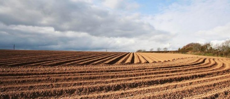 Ponad 1 mln zł za 20 ha  - Zdjęcie główne