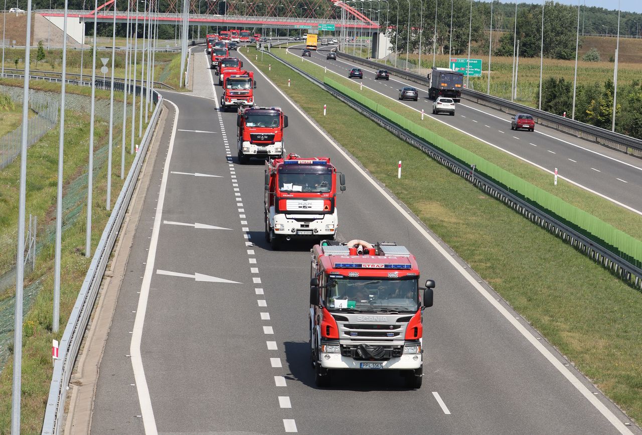 W Grecji szaleją pożary. Na miejsce jadą strażacy z Pleszewa - Zdjęcie główne