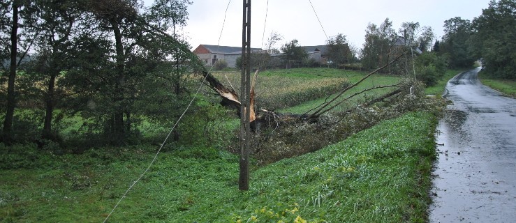 Orkan Ksawery. Zerwane dachy, połamane drzewa [FOTO]  - Zdjęcie główne