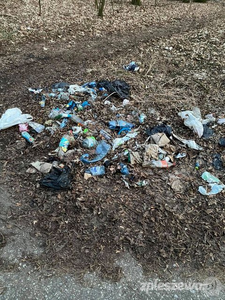 Śmieci, opony w rowach i butelki pozawieszane na gałęziach drzew  - Zdjęcie główne