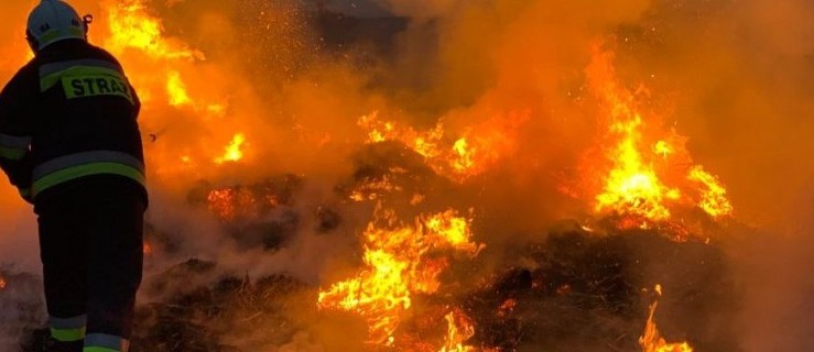 Podobna godzina, kilka pożarów w regionie. Czy grasuje podpalacz? - Zdjęcie główne