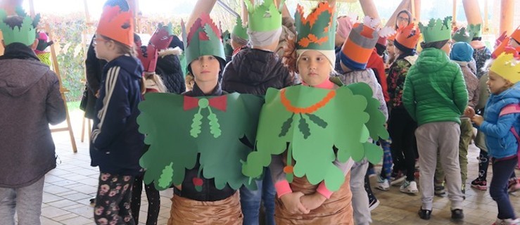 Dzień drzewa w Gołuchowie  - Zdjęcie główne