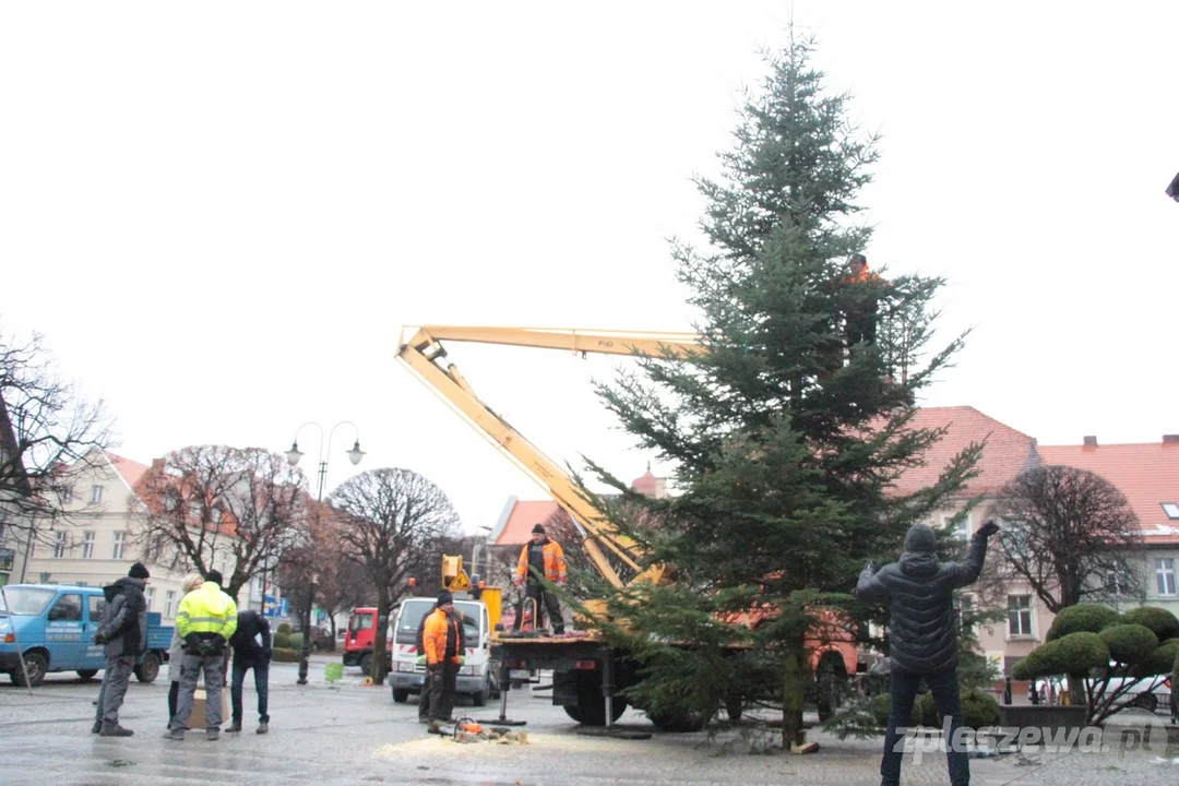 Trwają przygotowania do świątecznych imprez na rynku. Jest już choinka! [ZDJĘCIA] - Zdjęcie główne