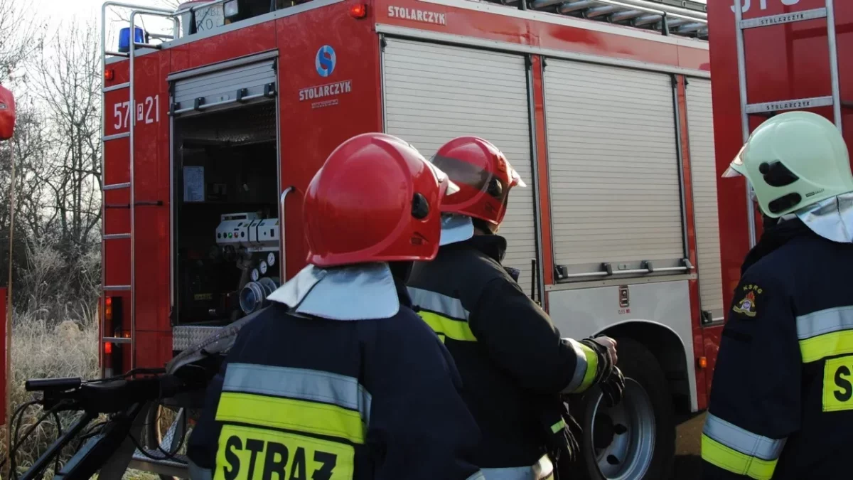 Koparka zapaliła się przy drodze wojewódzkiej 442 w gminie Chocz