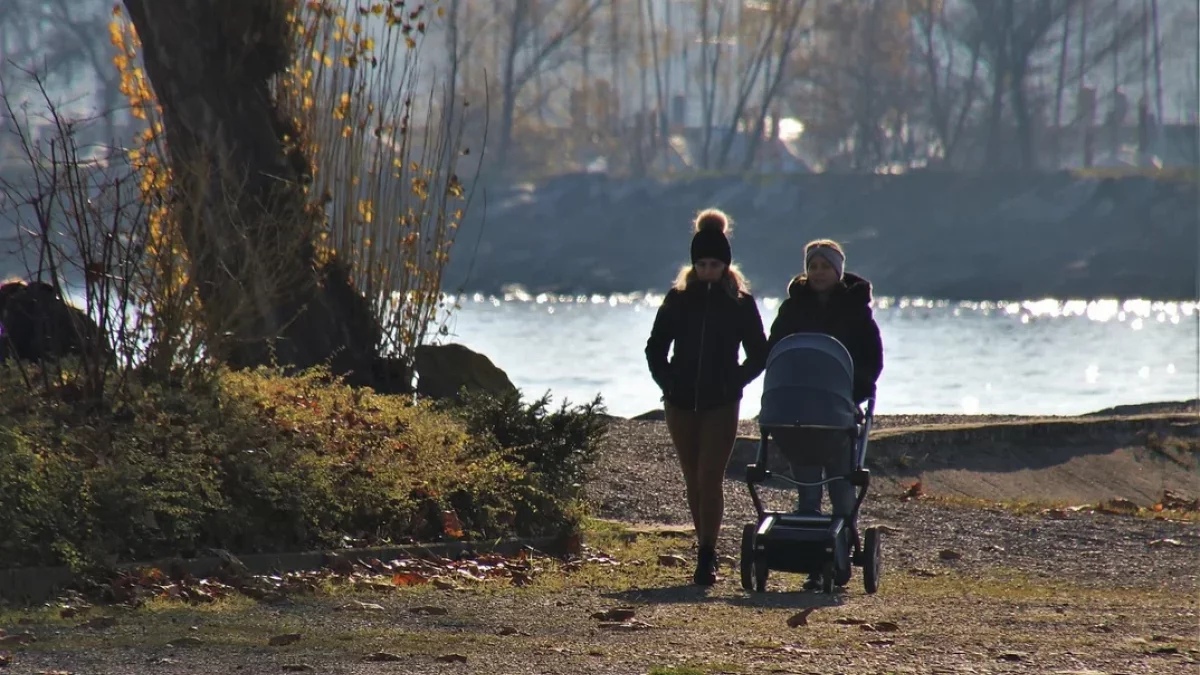 Pogoda w powiecie pleszewskim. Jakie są prognozy na jutro? - Zdjęcie główne