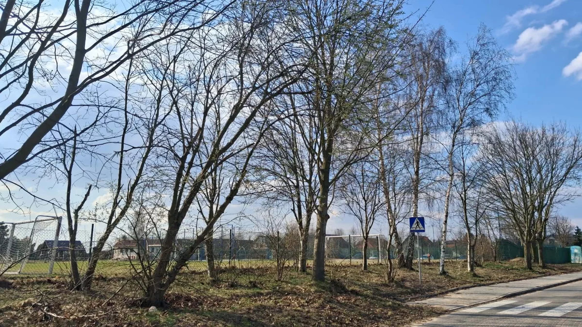 Dzień dobry Pleszew! Dziś środa, 25 marca 2026 roku