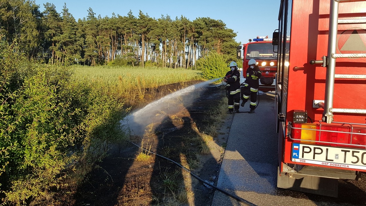 pożary traw Dobrzyca - Zdjęcie główne