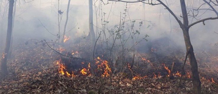 Kolejne pożary w lasach. Sytuacja jest bardzo poważna  - Zdjęcie główne