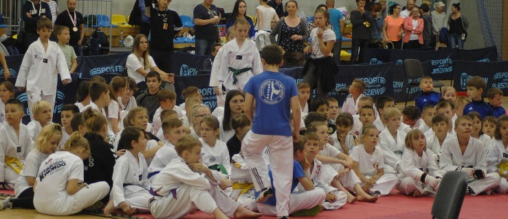 Liga Taekwondo Wesołek w Pleszewie - Zdjęcie główne