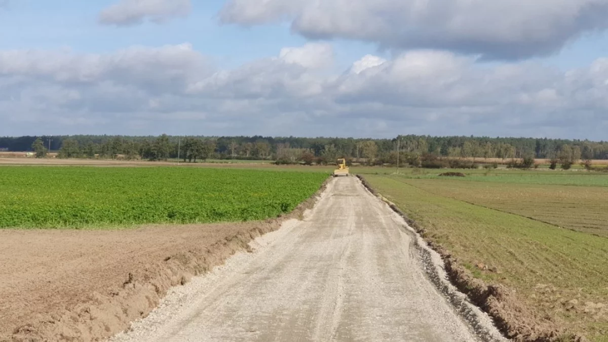 Pieniądze na drogi do pól i drzewka miododajne. Które gminy otrzymały wsparcie?