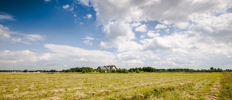 Będą nowe działki budowlane w Dobrzycy? - Zdjęcie główne