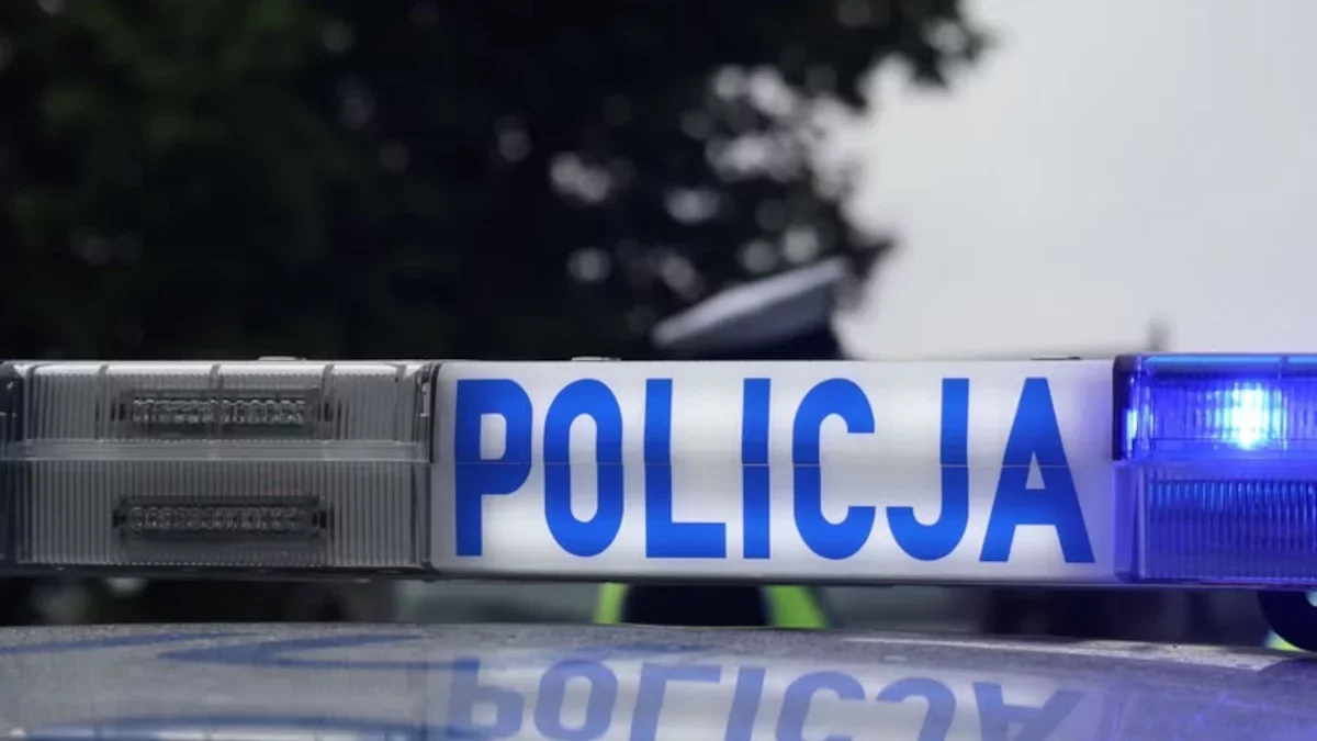 Zderzenie auta osobowego z busem w Pleszewie. Trzy osoby pod opieką ratowników