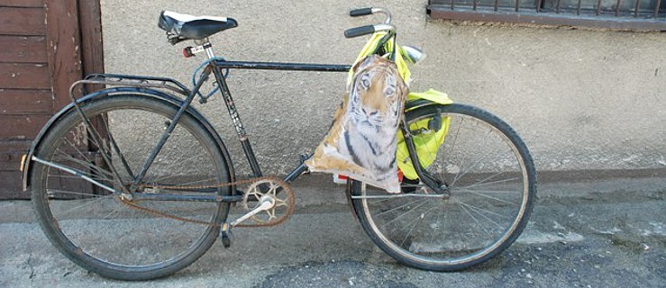 Policja szuka właściciela roweru - Zdjęcie główne