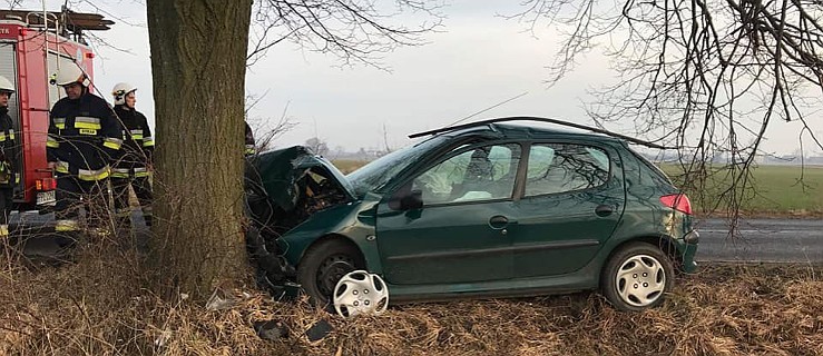 Polskie Olędry. Auto rozbiło się na drzewie [FOTO] - Zdjęcie główne