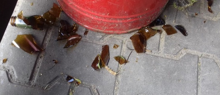 Dobrzyca. Butelki po piwie, zniszczone urządzenia. Wandale niszczą teren dla dzieci - Zdjęcie główne