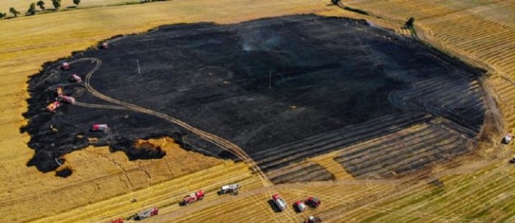 Powiat pleszewski. Duży pożar. Kilkanaście jednostek w akcji - Zdjęcie główne