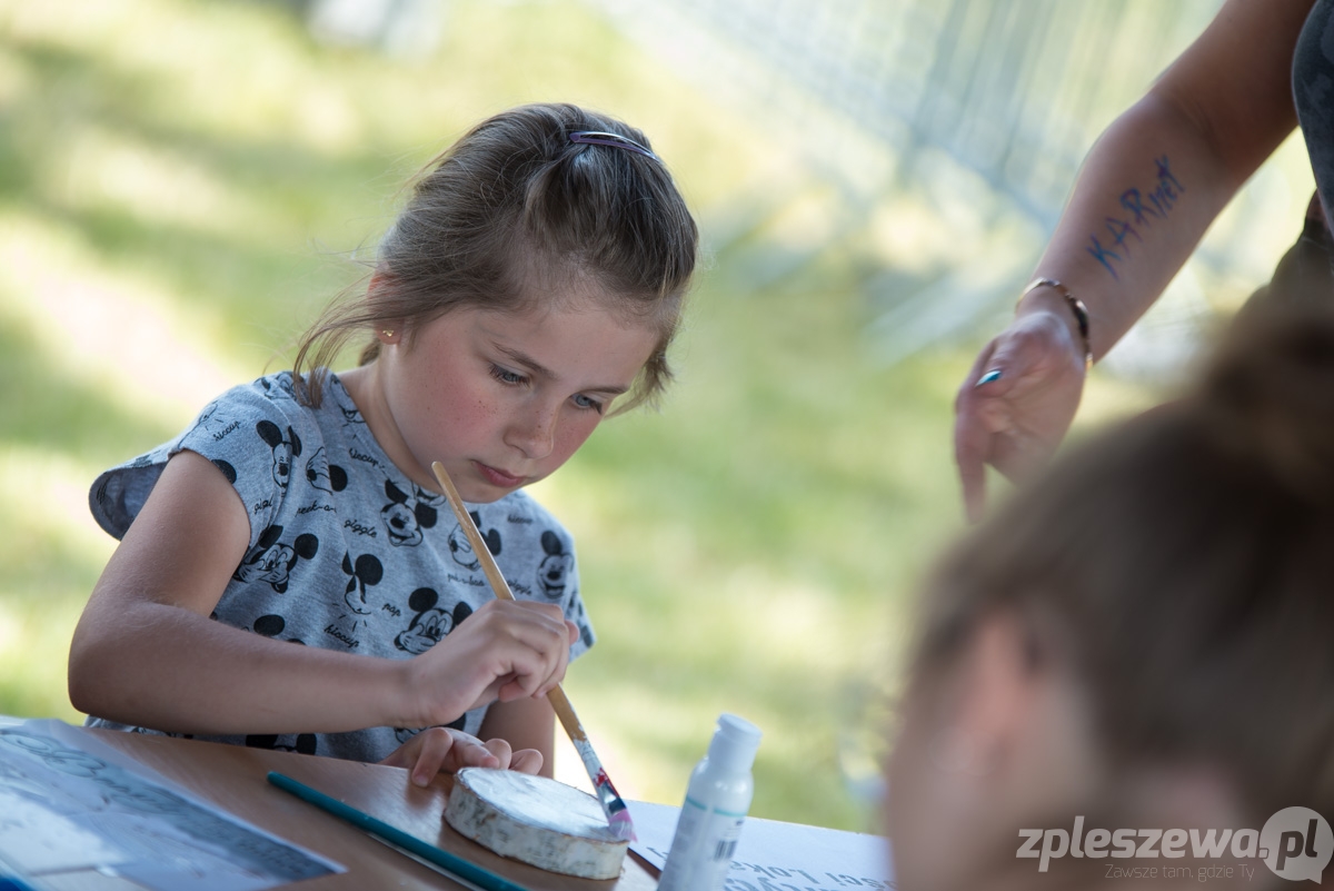 Dni Dobrzycy 2017 - dzień drugi - Zdjęcie główne