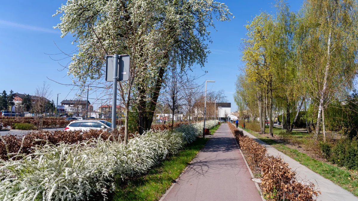 Dzień dobry Pleszew! Dziś wtorek, 21 kwietnia 2026 roku