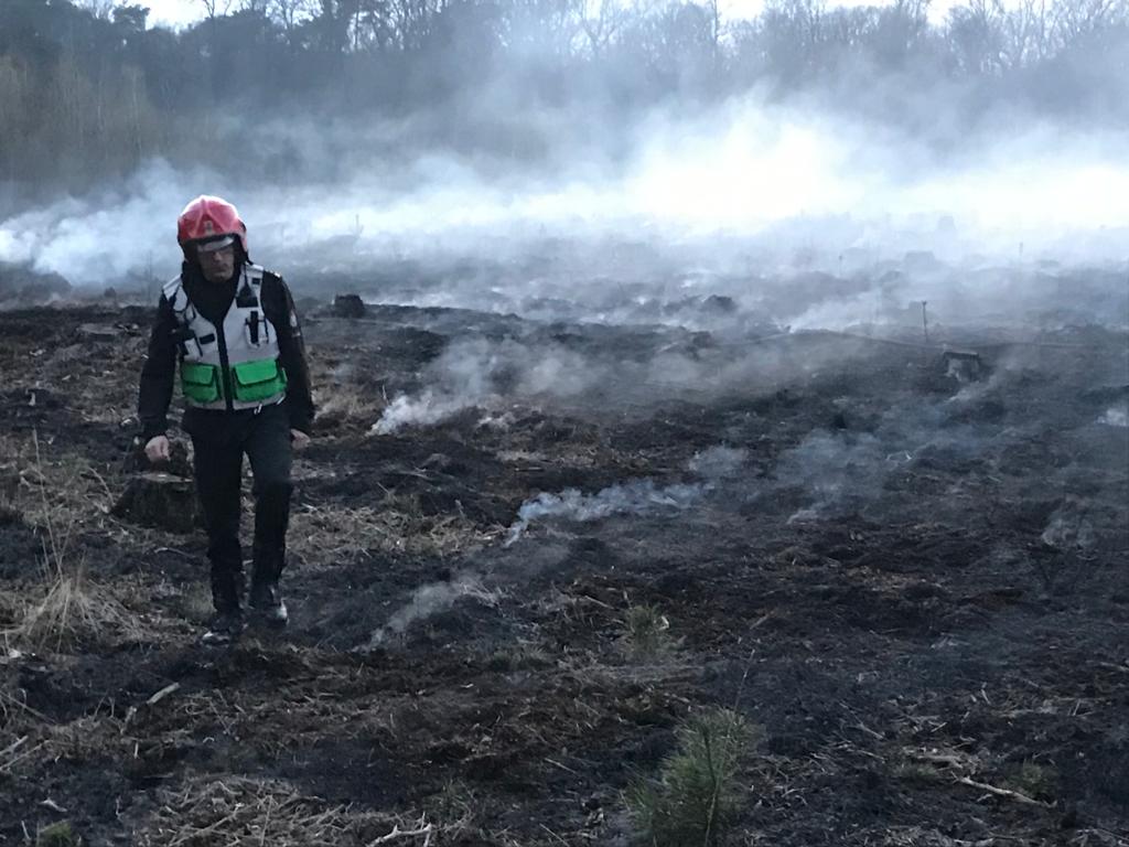 21 kwietnia doszło do pożaru lasu w miejscowości Grab w powiecie pleszewskim