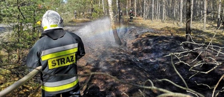 Pożar w gminie Gizałki [ZOBACZ ZDJĘCIA] - Zdjęcie główne