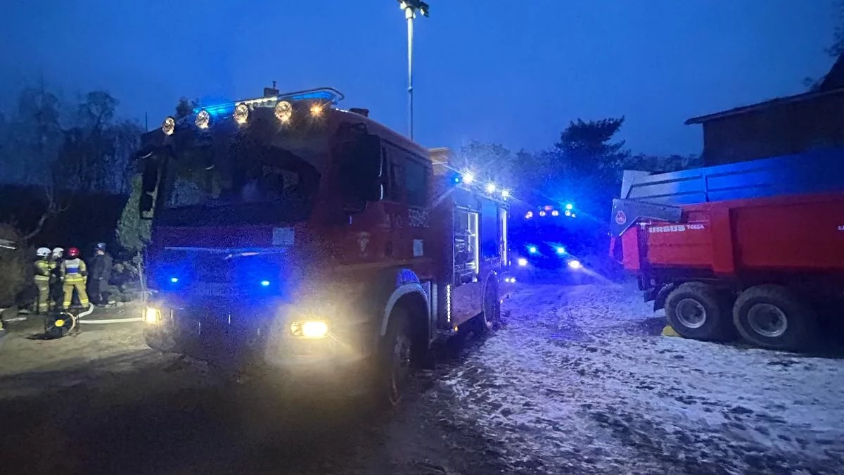 Pożar piwnicy w Gołuchowie. Jedna osoba wymagała pomocy - Zdjęcie główne