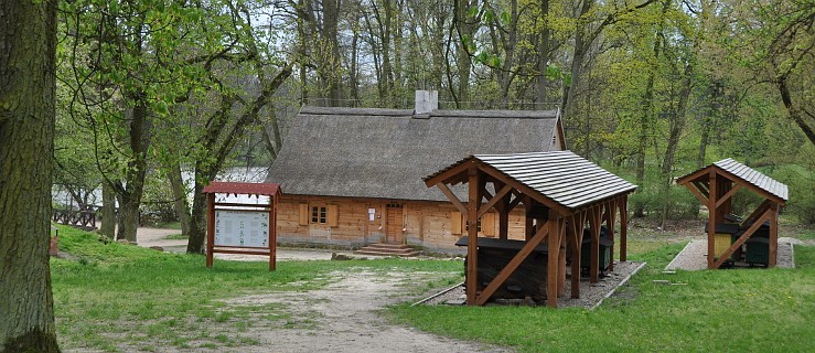 Lato z Radiem i Wielki Dzień Pszczół  - Zdjęcie główne