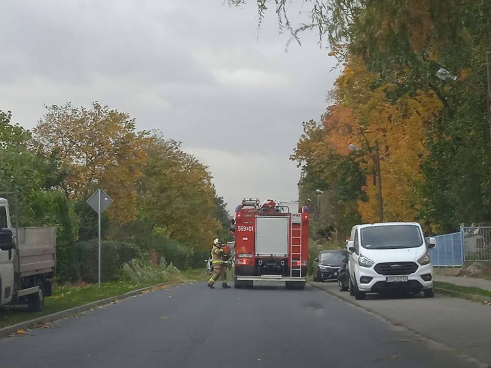 Ulica Wierzbowa w Pleszewie 