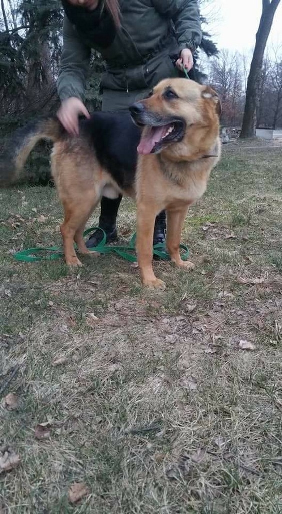 Fado - Zdjęcie główne