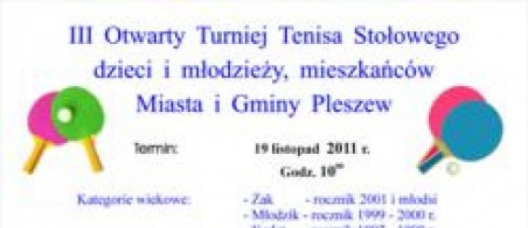 Otwarty turniej tenisa stołowego - Zdjęcie główne