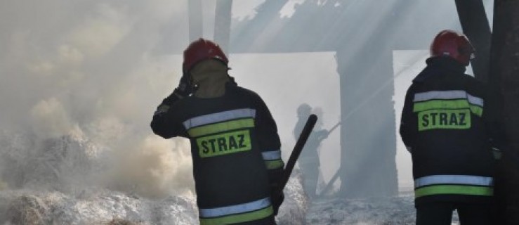 Mają 8 zł, a chcieliby 10 zł - Zdjęcie główne